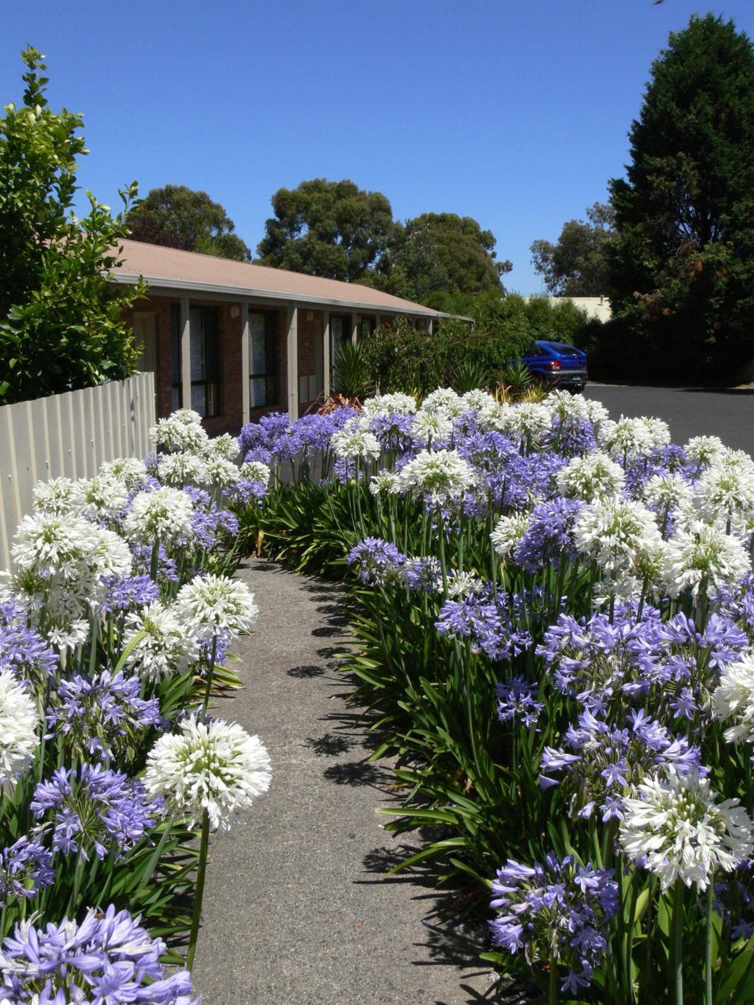 Begonia City Motor Inn Ballarat Esterno foto